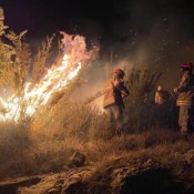 Incêndio atinge o Parque Nacional  do Itatiaia e destrói mais de 80 hectares