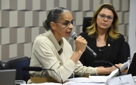 Marina Silva alerta para o risco de Pantanal deixar de existir