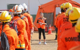 BRASILIANAS | Resgate de animais ganha estrutura, após incêndios florestais