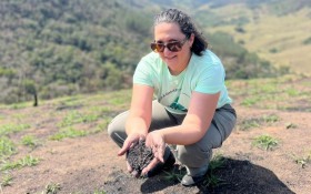 Reflorestamento em áreas degradadas por incêndios